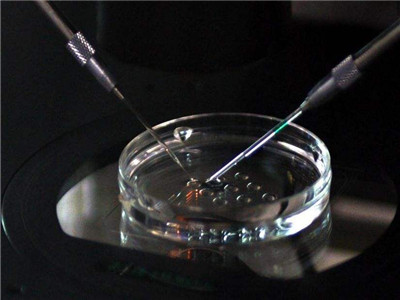 泰国试管婴儿囊胚移植,囊胚移植后出血