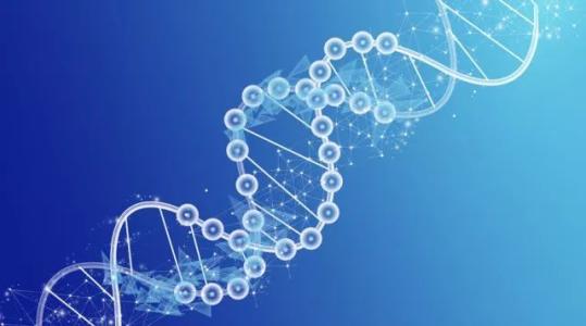 男性精子DNA碎片出了问题怎么办