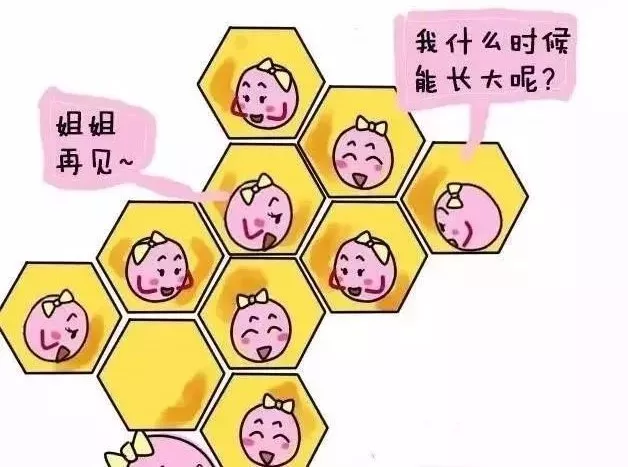 泰国三代试管婴儿,泰国三代试管婴儿优势