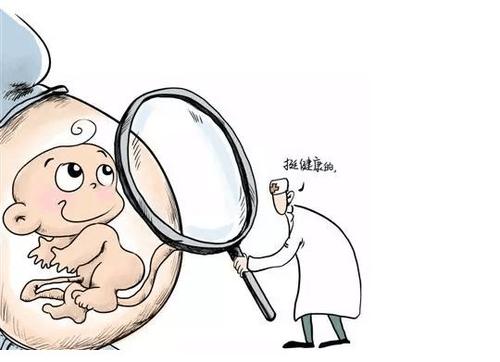 RFG医院,泰国三代试管技术