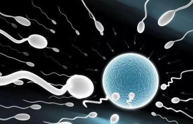 第三代试管婴儿,试管婴儿卵泡取出,试管婴儿取精