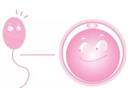 第三代试管婴儿,试管婴儿卵泡取出,试管婴儿取精