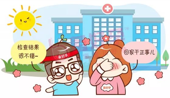 38岁做试管婴儿,高龄备孕