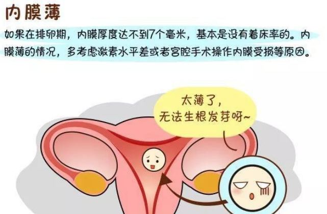 试管婴儿,宫外孕
