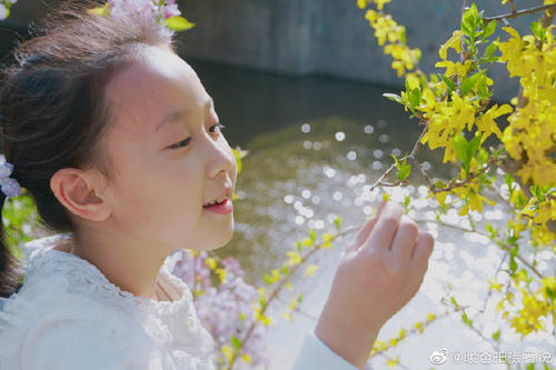 海外试管婴儿,试管婴儿步骤