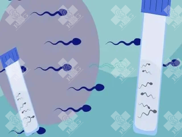 乌鲁木齐试管婴儿医院哪家优秀