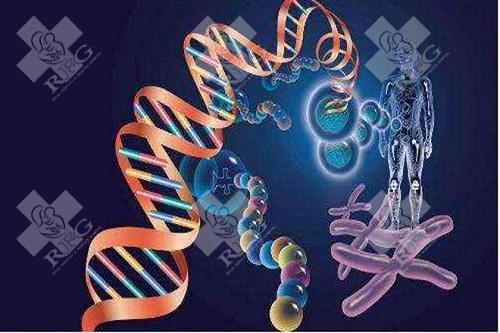 试管婴儿移植人工周期需要