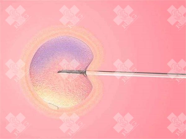 三代试管囊胚检测需要多长时间？试管婴儿的过程是什么？