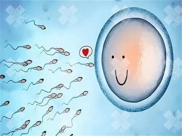 染色体异常可以做试管婴儿吗？做三代试管要多少钱？