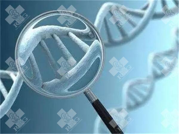 无创DNA好还是羊水穿刺好？孕期筛查的两大选择！