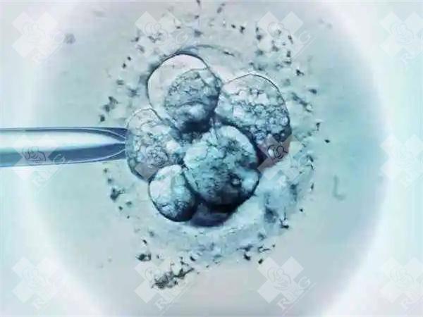 卵巢早衰选试管婴儿超长方案是什么？与长方案的区别都有哪些？