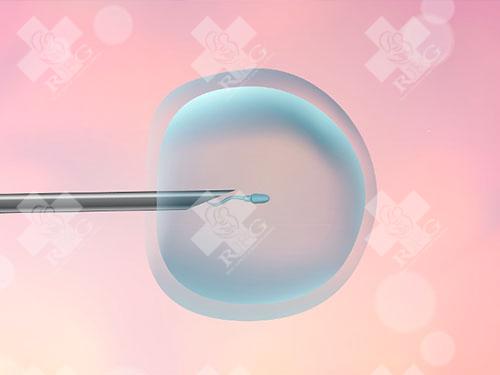 试管第三天胚胎长得慢是胚胎质量不好吗？如何应对胚胎生长速度较慢的情况？