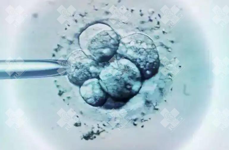 试管观察胚胎形态需要多久检查多少次?