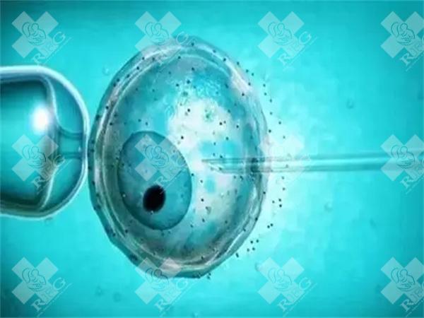 衡阳三代试管的费用大概需要多少钱？试管婴儿有哪些步骤？