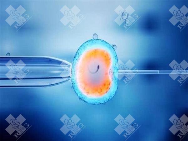 在杭州找私立机构做三代试管大概得准备多少钱？