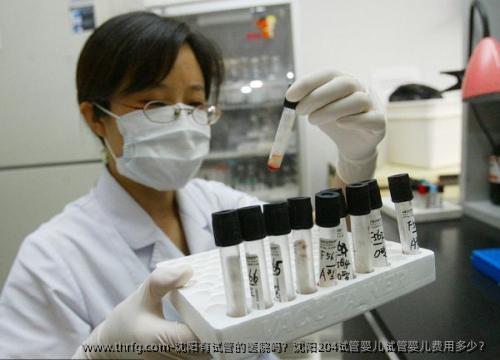 沈阳有试管的医院吗？沈阳204试管婴儿试管婴儿费用多少？