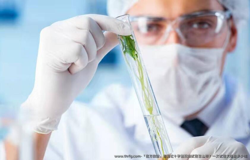 「官方数据」青海红十字医院做试管怎么样?一次试管大概要多少钱