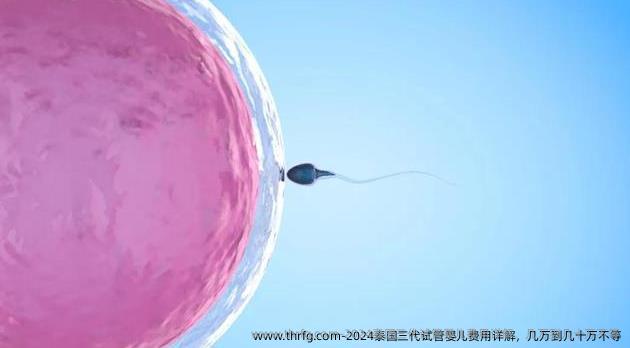 2024泰国三代试管婴儿费用详解，几万到几十万不等