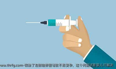 切除了左侧输卵管导致不易受孕，这个问题试管婴儿可解决