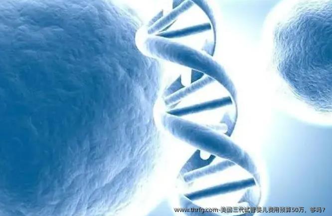 美国三代试管婴儿费用预算50万，够吗？