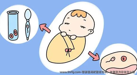 想要提高试管成功率,夫妻双方应该怎么做
