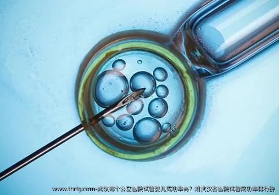 武汉哪个公立医院试管婴儿成功率高?附武汉各医院试管成功率排行榜