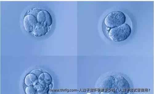人造子宫怀孕要多少钱？人造子宫试管费用？