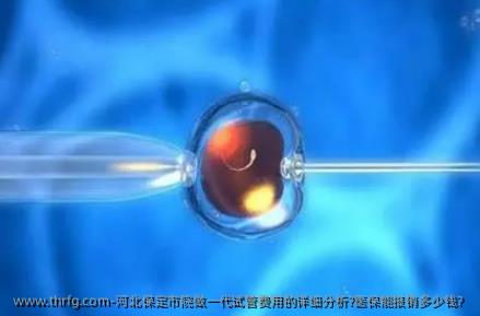 河北保定市院做一代试管费用的详细分析?医保能报销多少钱？