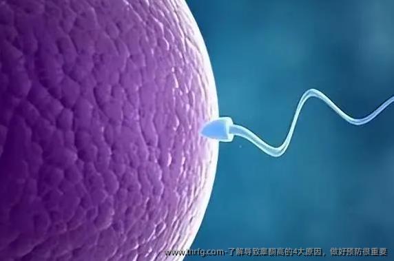 了解导致睾酮高的4大原因，做好预防很重要