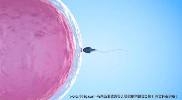马来西亚试管婴儿哪家机构有口碑？真实评价透析！ 