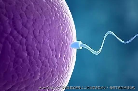 马来西亚试管婴儿二代的费用是多少？值得了解的详细信息 
