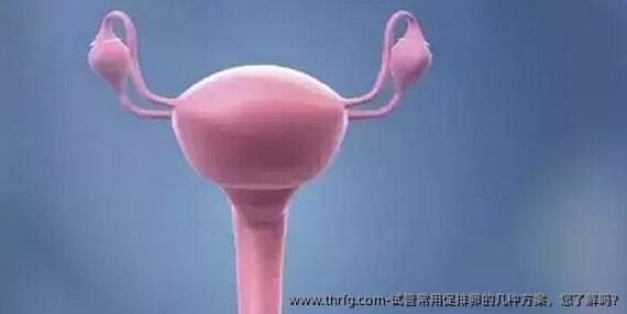 试管常用促排卵的几种方案,您了解吗?