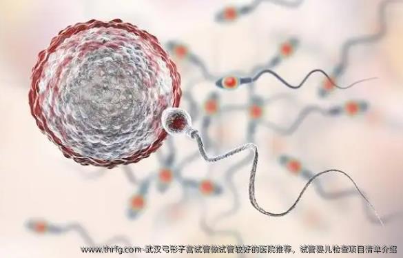 武汉弓形子宫试管做试管较好的医院推荐，试管婴儿检查项目清单介绍