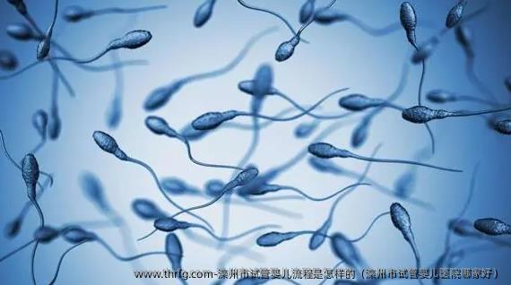 滦州市试管婴儿流程是怎样的（滦州市试管婴儿医院哪家好）