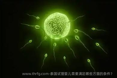 泰国试管婴儿需要满足哪些方面的条件？