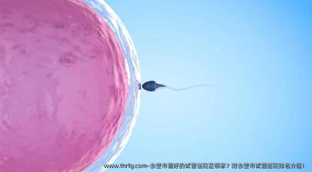 赤壁市较好的试管医院是哪家？附赤壁市试管医院排名介绍！