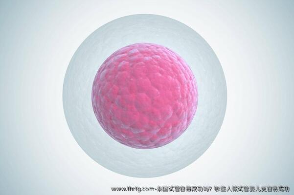 泰国试管容易成功吗？哪些人做试管婴儿更容易成功