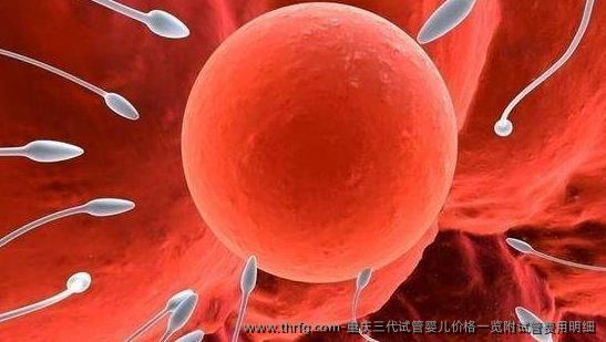 重庆三代试管婴儿价格一览附试管费用明细