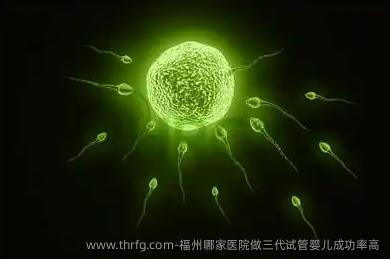 福州哪家医院做三代试管婴儿成功率高