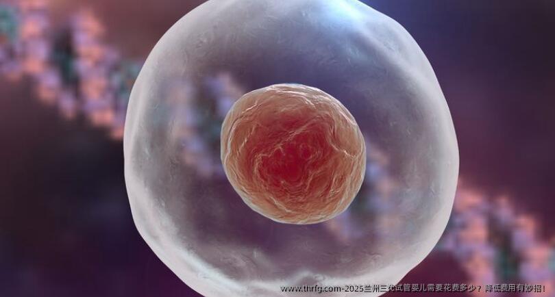 2025兰州三代试管婴儿需要花费多少？降低费用有妙招！