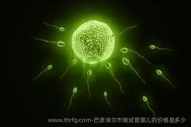 巴彦淖尔市做试管婴儿的价格是多少