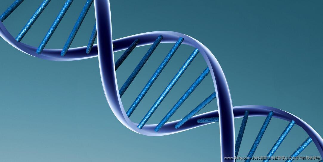 2025泰国三代试管婴儿成功率与价格全解析