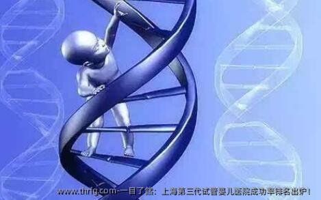 一目了然：上海第三代试管婴儿医院成功率排名出炉！
