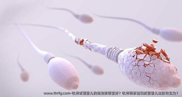 杭州试管婴儿的做效果哪里好？杭州哪家医院试管婴儿比较有实力？