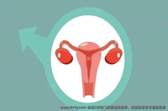 泰国3家热门试管医院推荐，附提高成功率重要因素