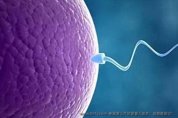 泰国第三代试管婴儿技术:成熟度探讨!