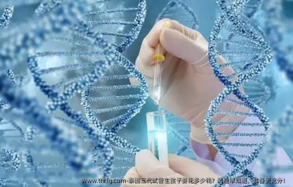泰国三代试管生孩子要花多少钱？风险早知道，准备更充分！