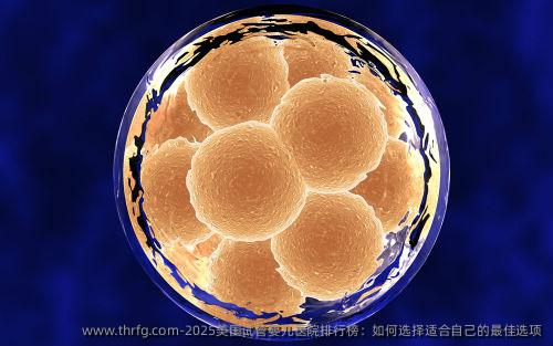 2025美国试管婴儿医院排行榜：如何选择适合自己的较好选项