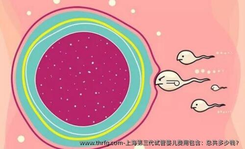 上海第三代试管婴儿费用包含：总共多少钱？
