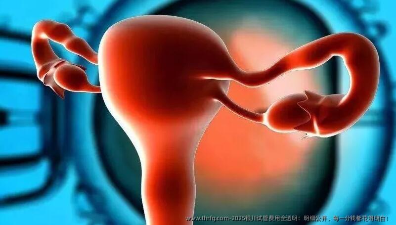2025银川试管费用全透明:明细公开,每一分钱都花得明白!